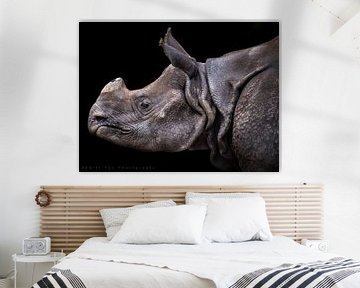 Rhino by Karel Ton