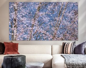spring blossom by Ria Bloemendaal