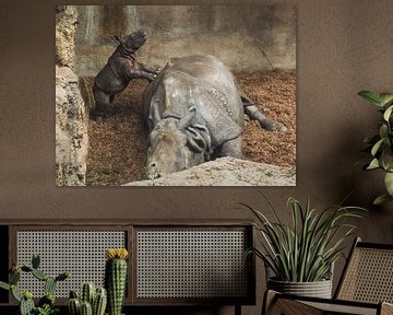 Black Rhino : Blijdorp Zoo by Loek Lobel