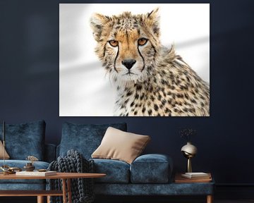 High Key Cheetah van Marije Rademaker
