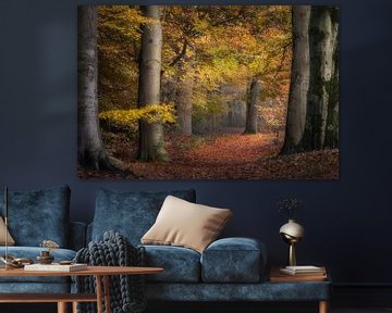 Der Herbst in den Niederlanden von Alex Riemslag