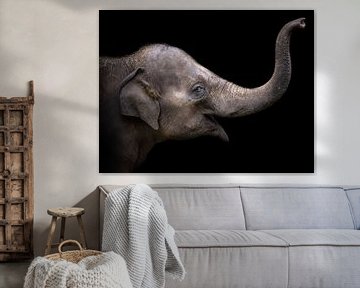 Elephant by Karel Ton