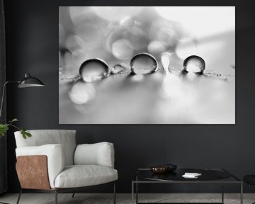 Black and white drops van Carla Mesken-Dijkhoff