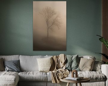 Tree in the fog by Moetwil en van Dijk - Fotografie