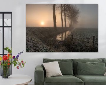 Lever de soleil avec brouillard sur Moetwil en van Dijk - Fotografie