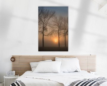 Mooie zonsopkomst in de mist bij de bomen van Moetwil en van Dijk - Fotografie