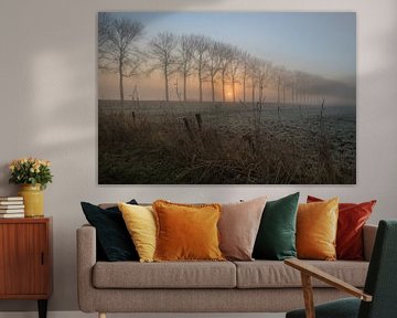 Rij bomen in de mist van Moetwil en van Dijk - Fotografie
