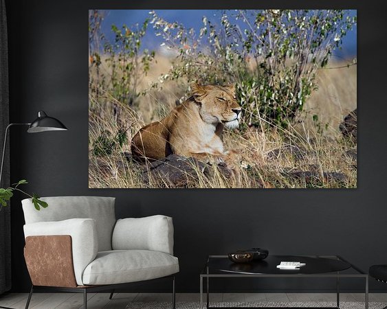 Aperçu de la chambre