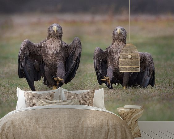 Aperçu de la chambre