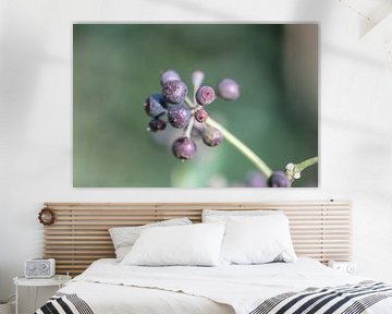 violette Beeren von Tania Perneel