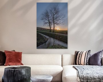 Bomen bij Ingen / Betuwe van Moetwil en van Dijk - Fotografie