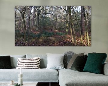 Een bos panorama van Gerard de Zwaan