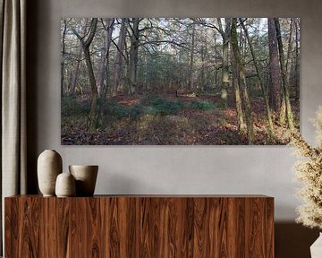 Een bos panorama van Gerard de Zwaan