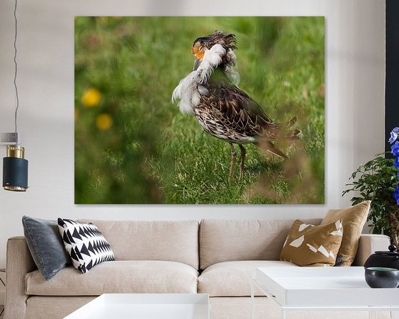 Aperçu de la chambre