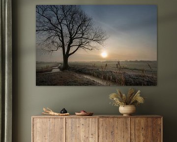 Baum in Landschaft von Moetwil en van Dijk - Fotografie