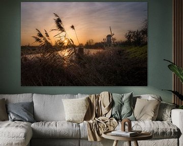 Molen de Vrijheid Beesd Betuwe van Moetwil en van Dijk - Fotografie