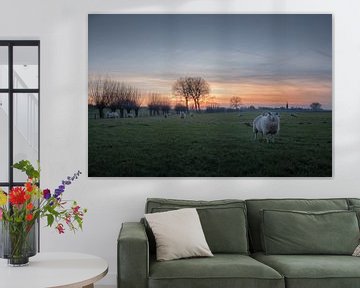 Schapen bij dorp Ravenswaaij van Moetwil en van Dijk - Fotografie