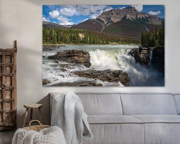 Athabasca Falls, Jasper National Park, Alberta, Canada van Alexander Ludwig