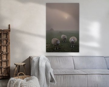 Sheep in the fog by Moetwil en van Dijk - Fotografie