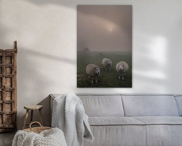 Schapen in de mist met zonnetje van Moetwil en van Dijk - Fotografie