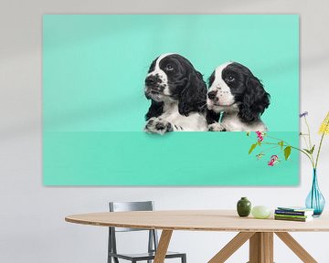 Cocker spaniel puppies van Elles Rijsdijk
