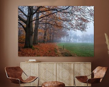 Dernières feuilles d'automne sur Tvurk Photography