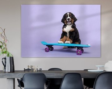 Berner sennen pup op een skateboard van Elles Rijsdijk