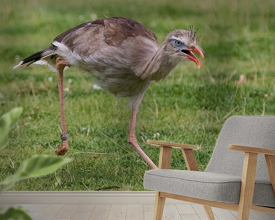 Aperçu de la chambre