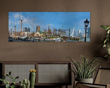 Veerhaven Rotterdam van Fred Leeflang
