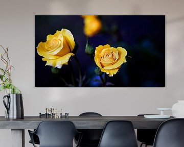 Yellow Roses on Blue by Petro Luft