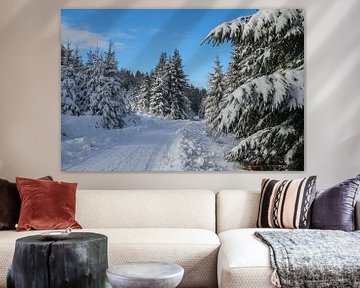 Winter foto - Sneeuw foto - Ardennen van Pixelatestudio Fotografie