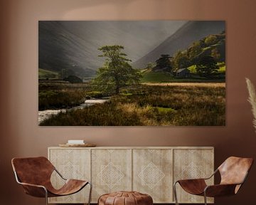 Schilderachtig mooi licht in Martindale Valley in het mooie Lake District in Engeland van Jos Pannekoek