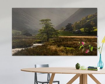 Malerisch schönes Licht im Martindale Valley im schönen Lake District in England von Jos Pannekoek