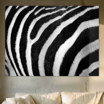 Zebrahaut von Fabian  van Bakel