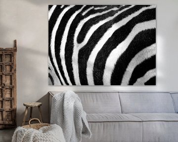 Zebra print van Fabian  van Bakel