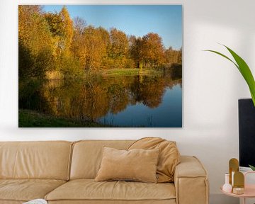 herfstbomen weerspiegeld in het water van Evelien Brouwer