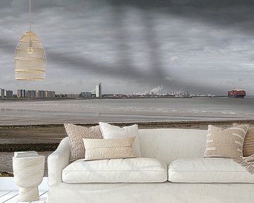 Terneuzen - Skyline - Waterfront - Panorama foto - met containerschip van Pixelatestudio Fotografie