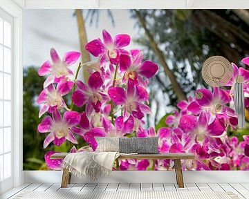 Orchideentuin in Singapore van Arie Storm