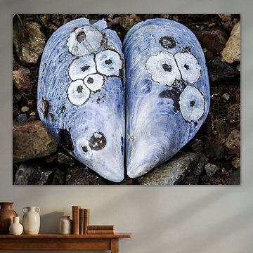 The Heart of the Sea