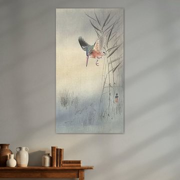 Eisvogel jagt Fische aus Ohara Koson