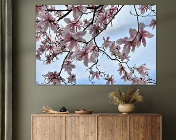 Magnolia bloesem van Rika Roozendaal