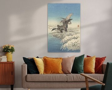 Koppel eenden vliegend boven besneeuwde rietkraag van Ohara Koson