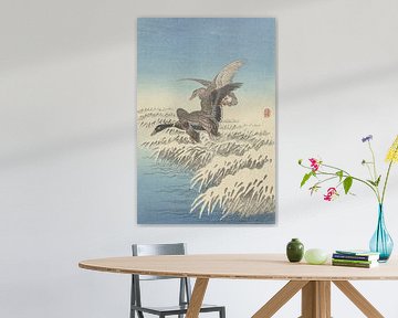 Koppel eenden vliegend boven besneeuwde rietkraag van Ohara Koson