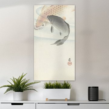 Two carps from Ohara Koson