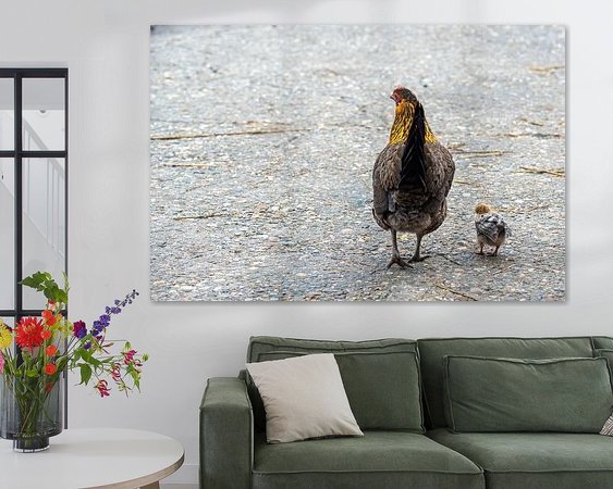 Aperçu de la chambre