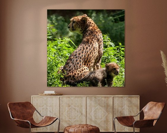 Aperçu de la chambre