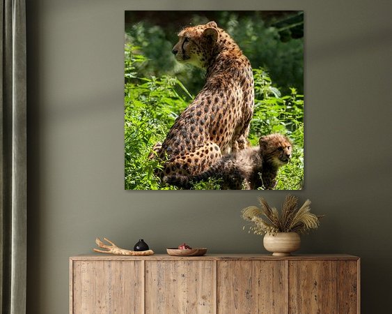 Aperçu de la chambre