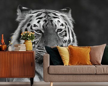 Wonderful Lady (Monochrome Version)