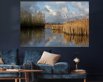 Typisch Hollands rivieren landschap met riet, wolkenpartijen en  bomen van Maud De Vries