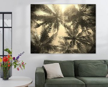 "Palmtrees"